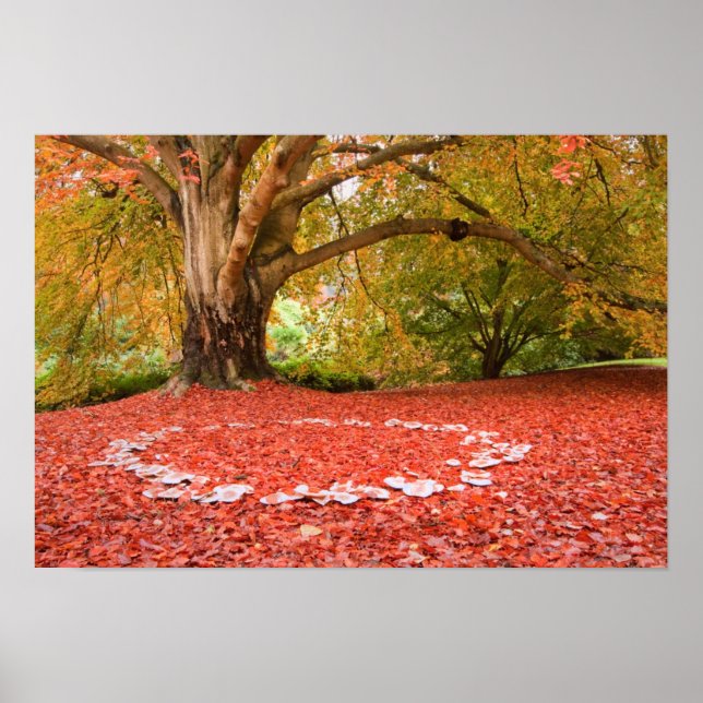 Schöner Herbstfall Naturbadring Poster (Vorne)