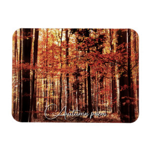 Schöner Herbstwald Magnet