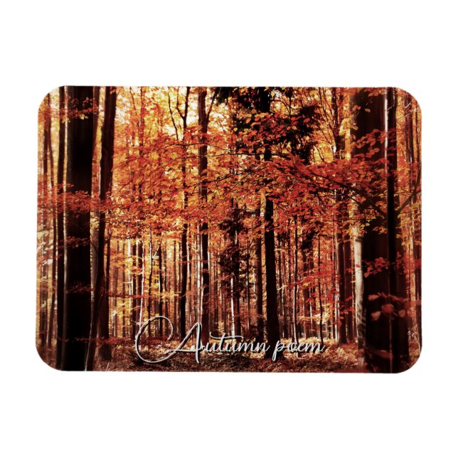 Schöner Herbstwald Magnet (Horizontal)