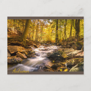 Schöner Herbstwald Postkarte