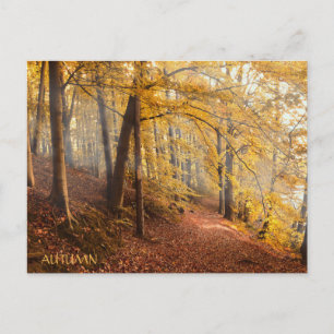Schöner Herbstwald Postkarte