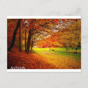 Schöner Herbstwald Postkarte