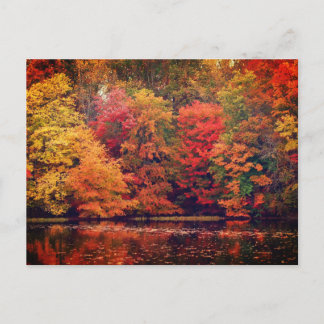 Schöner Herbstwald und See Postkarte