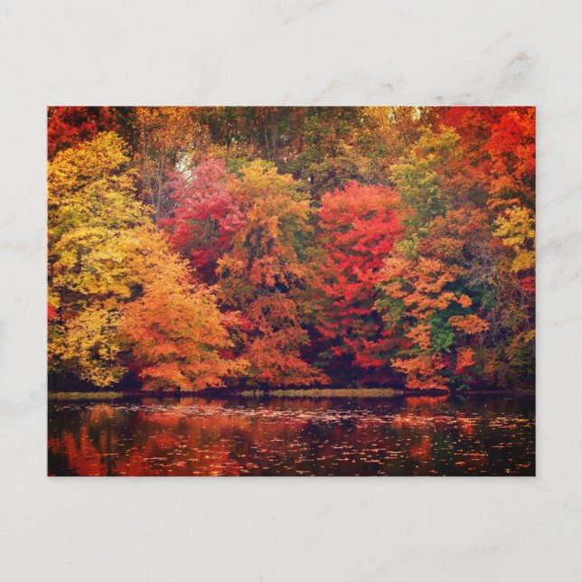 Schöner Herbstwald und See Postkarte (Vorderseite)