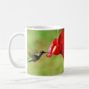 Schöner Hummingbird Fütternd Kaffeetasse