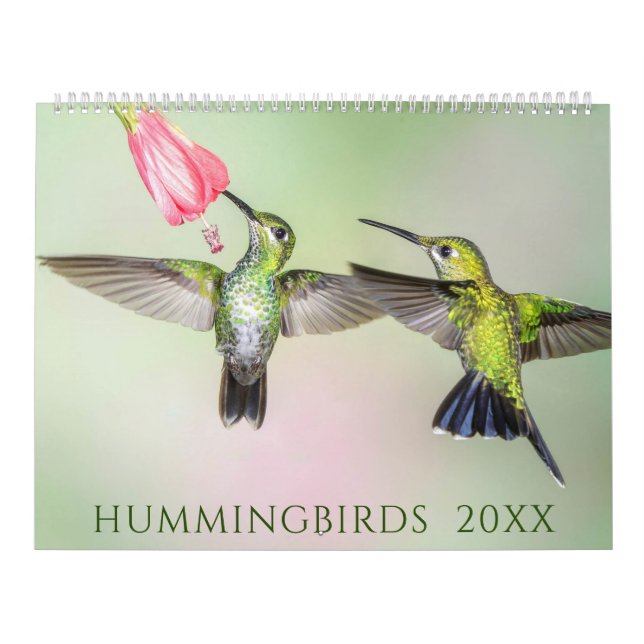 Schöner Hummingbirds Foto Kalender (Titelbild)