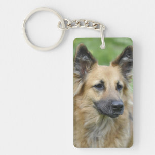 Schöner Hund Schlüsselanhänger