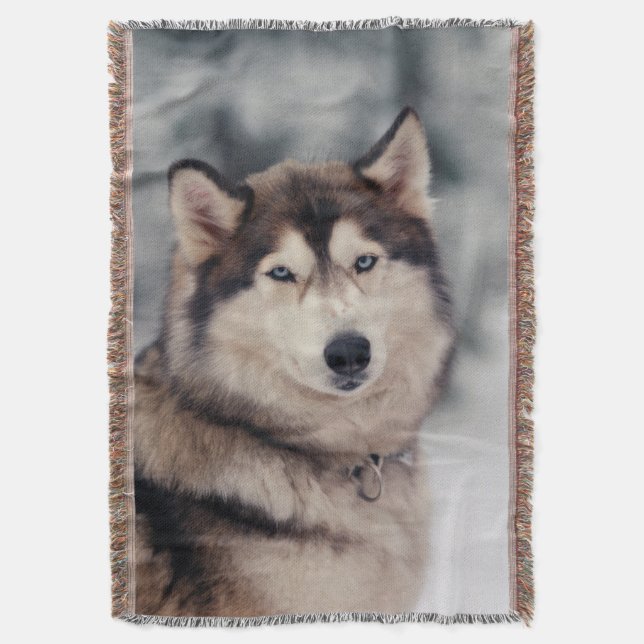 Schöner Husky im Freien Decke (Vorderseite Vertikal)