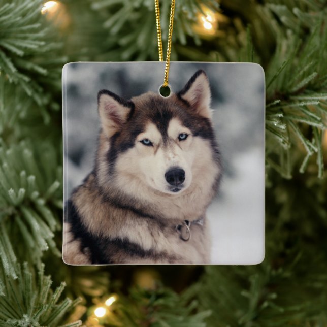 Schöner Husky im Freien Keramikornament (Baum)