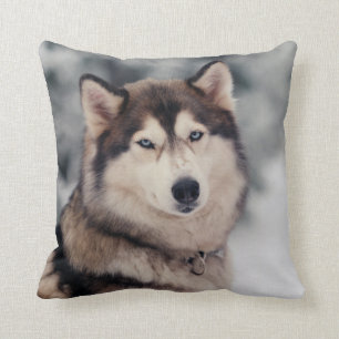 Schöner Husky im Freien Kissen