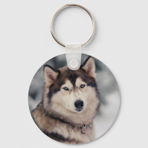 Schöner Husky im Freien Schlüsselanhänger