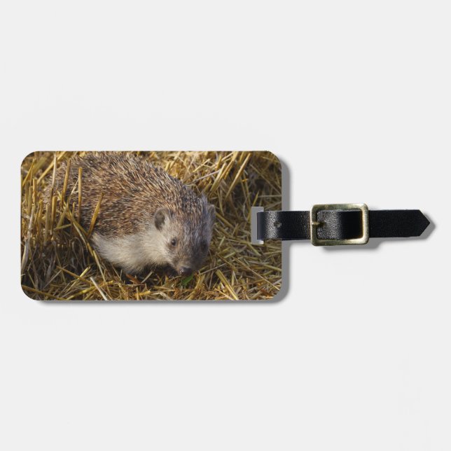 Schöner Igel auf einem Stubelfeld Gepäckanhänger (Vorderseite horizontal)