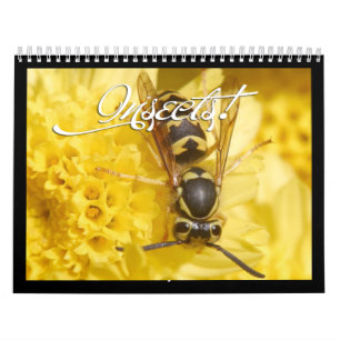 Schöner Insektenkalender 2018 Kalender