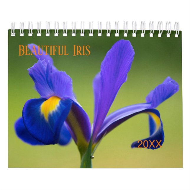 Schöner Iris-Fotokalender Kalender (Titelbild)
