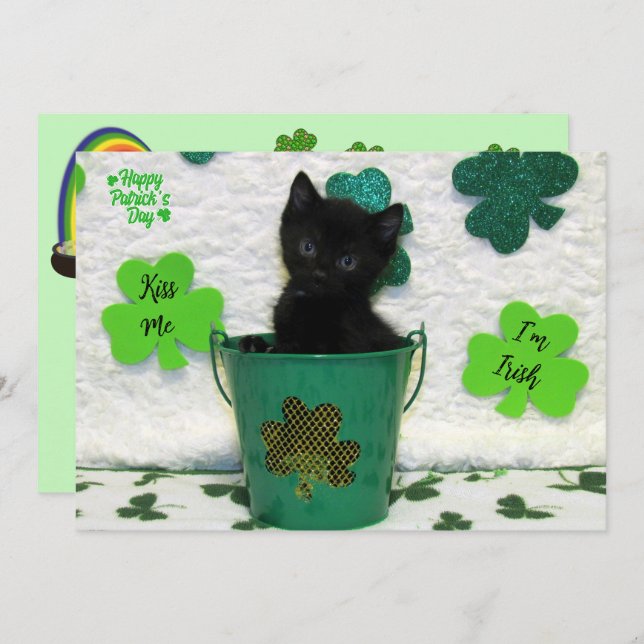 Schöner Jack - Katze / Kitten St. Patrick's Day (Vorne/Hinten)