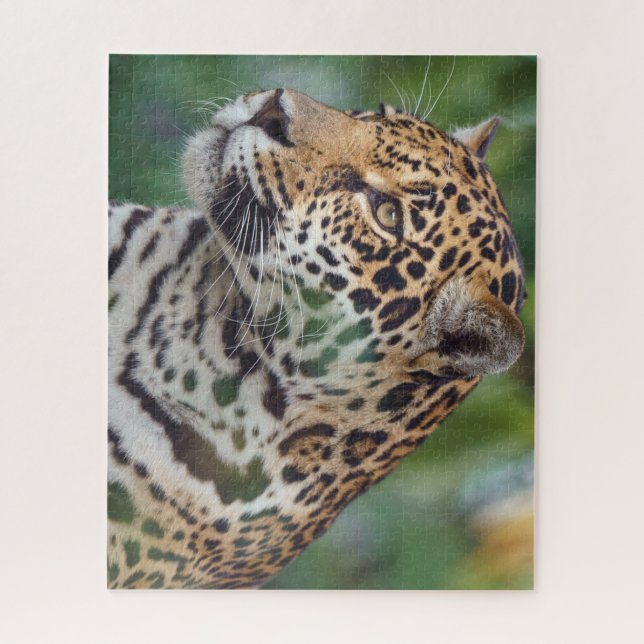 Schöner Jaguar im Wilden Puzzle (Vertikal)