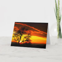 Schöner Jahrestag von Sonnenaufgang bis Sonnenunte