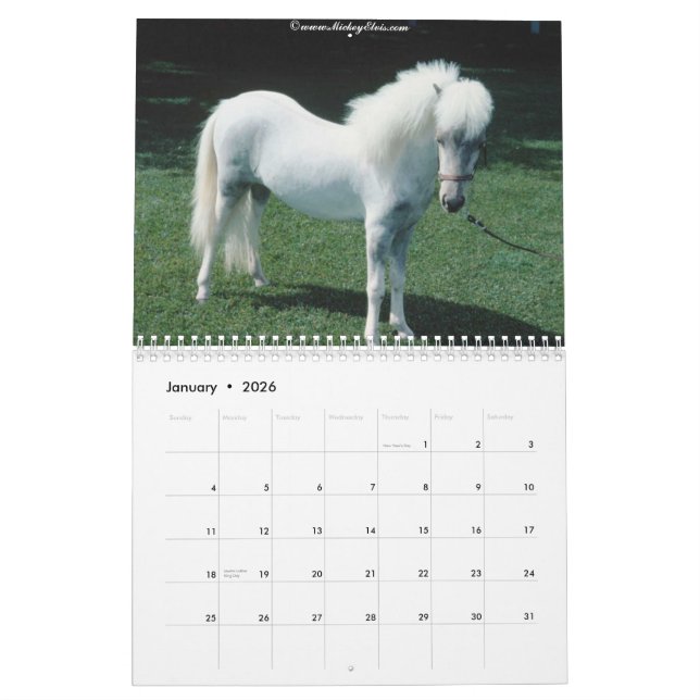 Schöner Kalender des Pferd2010 (Jan 2026)