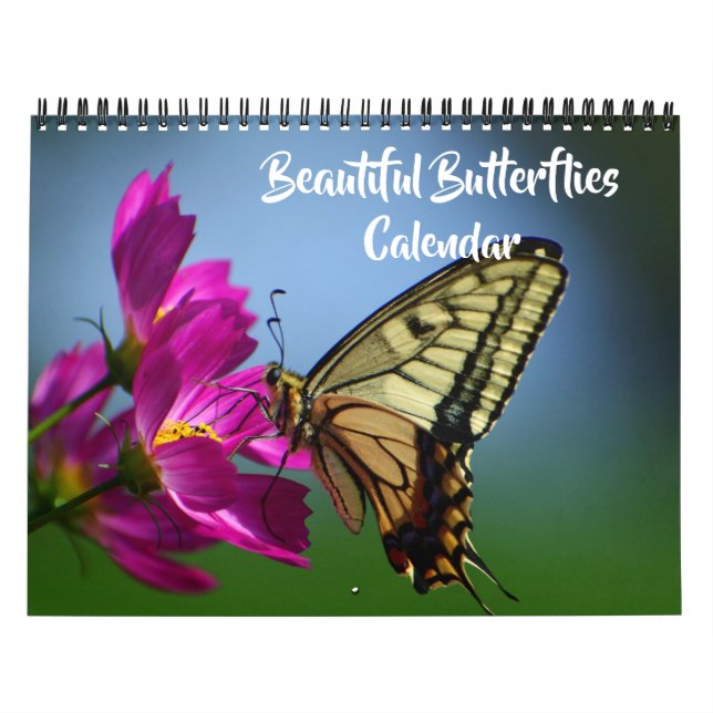 Schöner Kalender mit mittelgroßen Schmetterlingen (Titelbild)
