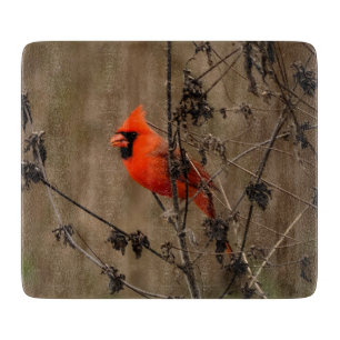 Schöner Kardinal im Norden Schneidebrett