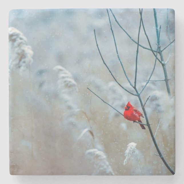 Schöner Kardinal im Schnee Steinuntersetzer (Vorderseite)