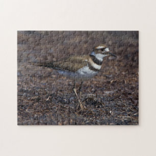Schöner Killdeer am Strand Puzzle