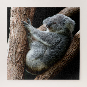 Schöner Koala-Bär im Garten Puzzle