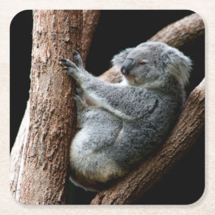 Schöner Koala-Bär im Garten Rechteckiger Pappuntersetzer