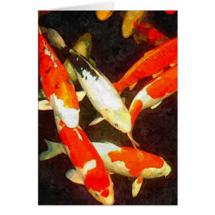 Schöner Koi-Fisch in einem Teich