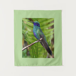Schöner Kolibri Wandteppich