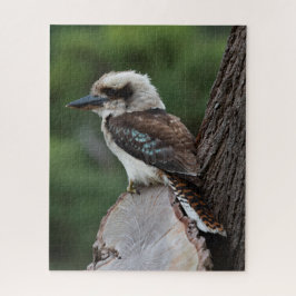 Schöner Kookaburra Bird Australien, 520 Stück Puzzle
