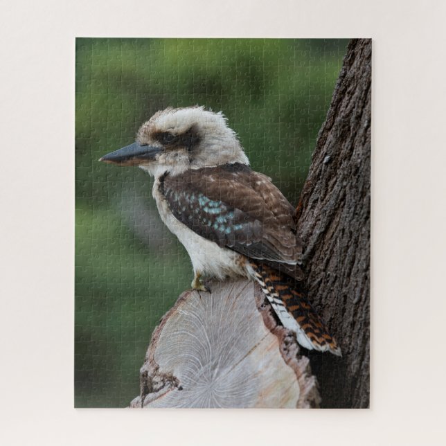 Schöner Kookaburra Bird Australien, 520 Stück Puzzle (Vertikal)