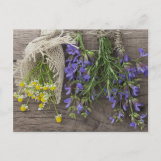schöner Kräuterhintergrund Postkarte