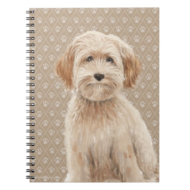 Schöner Labradoodle Notizblock (Vorderseite)