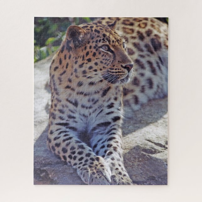 Schöner Leopard - Puzzle (Vertikal)
