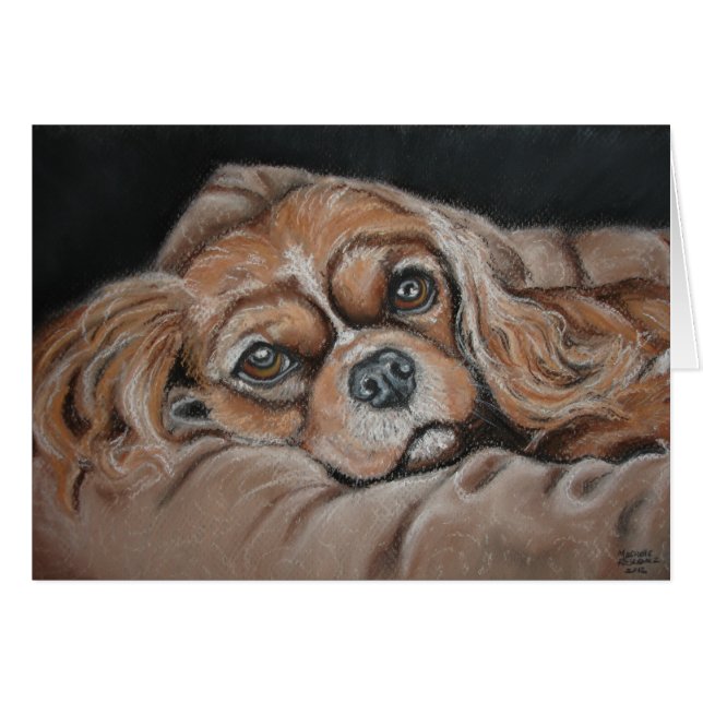 Schöner Lilly (Vorderseite (Horizontal))