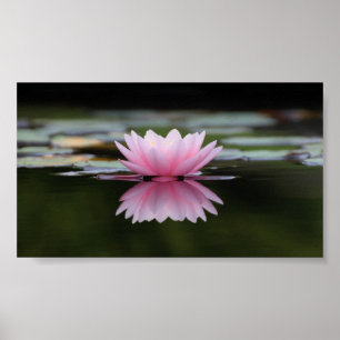 Schöner Lotus, Zen Poster