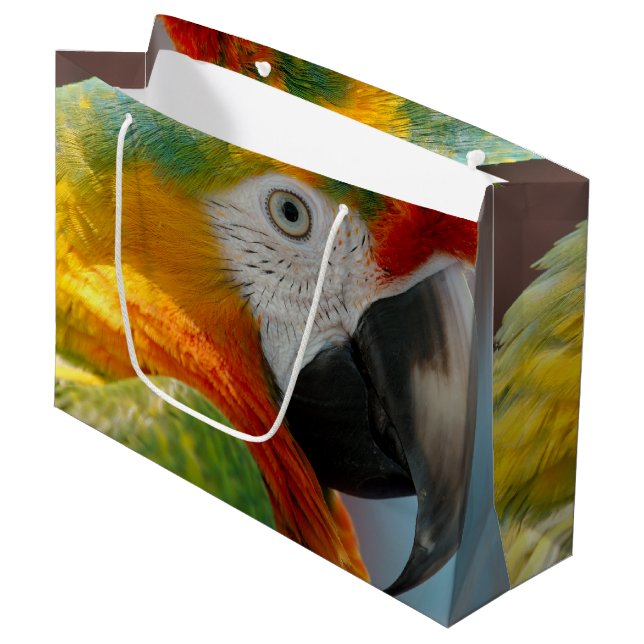 Schöner Macaw Große Geschenktüte (Vorderseite Schrägansicht)