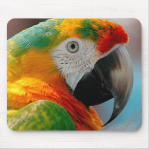 Schöner Macaw Mousepad
