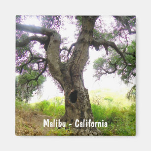 Schöner Malibu-Magnet! Magnet