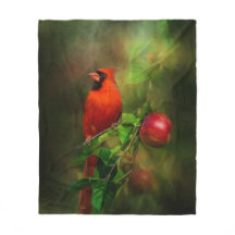 Schöner männlicher Kardinal