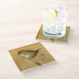 Schöner Marsh Wren Songbird in den Marschen Glasuntersetzer