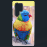Schöner mehrfarbiger Parrot Samsung Galaxy Hülle<br><div class="desc">Exotische Farbenpracht</div>