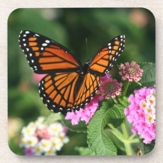 Schöner Monarchfalter auf Flowers.Coasters Getränkeuntersetzer