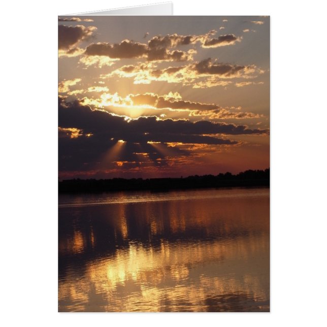 Schöner Morgen (Vorne)