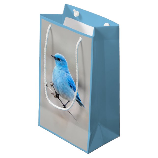 Schöner Mountain Bluebird auf der Tansy Kleine Geschenktüte (Vorderseite Schrägansicht)