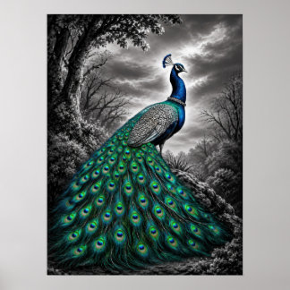 Schöner mystischer Pfau Poster