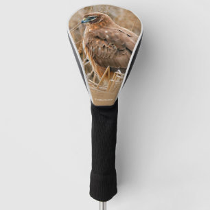 Schöner Northern Harrier Hawk im Marsch Golf Headcover