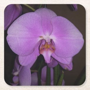 Schöner Orchid-Untersetzer Rechteckiger Pappuntersetzer