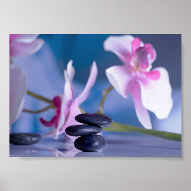 Schöner Orchid, Zen Stones Poster (Vorne)